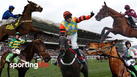 Cheltenham Festival schedule, betting tips, odds, racecards, .